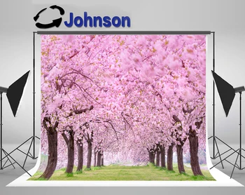 JOHNSON Япония Черешов цвят дърво Сватбени декори Високо качество Компютърен печат живописна фотография фонове